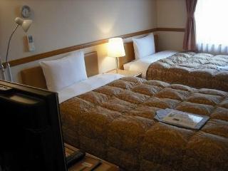 Toyoko Inn Yokohama Minatomirai-Sen Nihon-Odori Ekimae Экстерьер фото